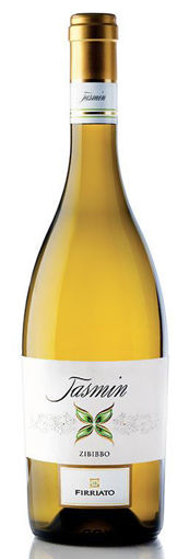 Afbeeldingen van FIRRIATO JASMIN 2023