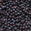 Afbeeldingen van Regional Jeneverbes 45gr. - Botanical