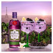 Afbeeldingen van TANQUERAY BLACKCURRANT ROYALE 70CL 41,3°