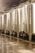Afbeeldingen van CHATEAU LYNCH MOUSSAS 2021
